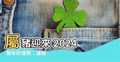 屬豬2024年運程